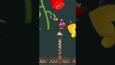 Photo of https://sites.google.com/view/smartplayerprivacypolicy/home#h.qbd0rjyr8unk