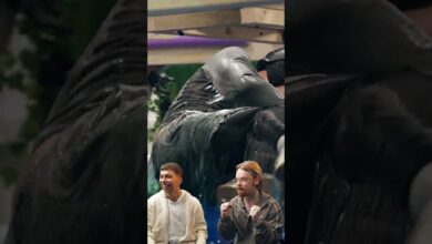 Photo of WPADŁ PO USZY