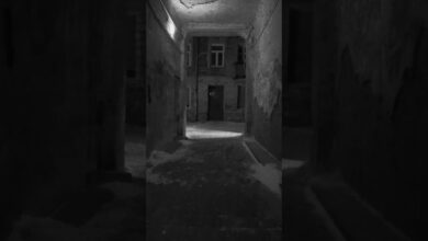 Photo of Pa tera, tera pa, zoba mnie i Jędkera – 10.03.2026