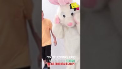 Photo of Jako, że hejt towarzyszy mi od samego początku mojej drogi…