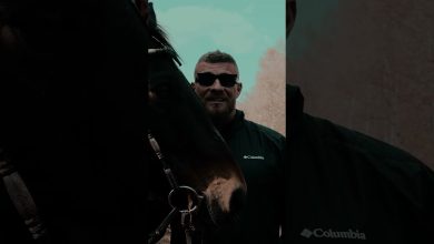 Photo of Nizioł niczym „Ostatni Mohikanin”!