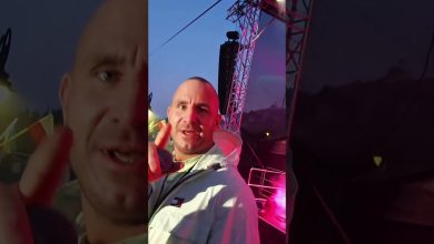 Photo of #shorts DUDEK #live #serock #2026 #koncert #p56 #456