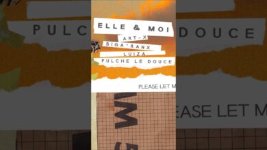 Photo of Art-X, Biga*Ranx, Luiza, Pulche Le Douce „Elle & Moi” out now !