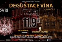 Photo of DEGUSTACE VÍNA A BURČÁKU S VINAŘSTVÍM SOVIŠ / Rokáč / 11.9.2026